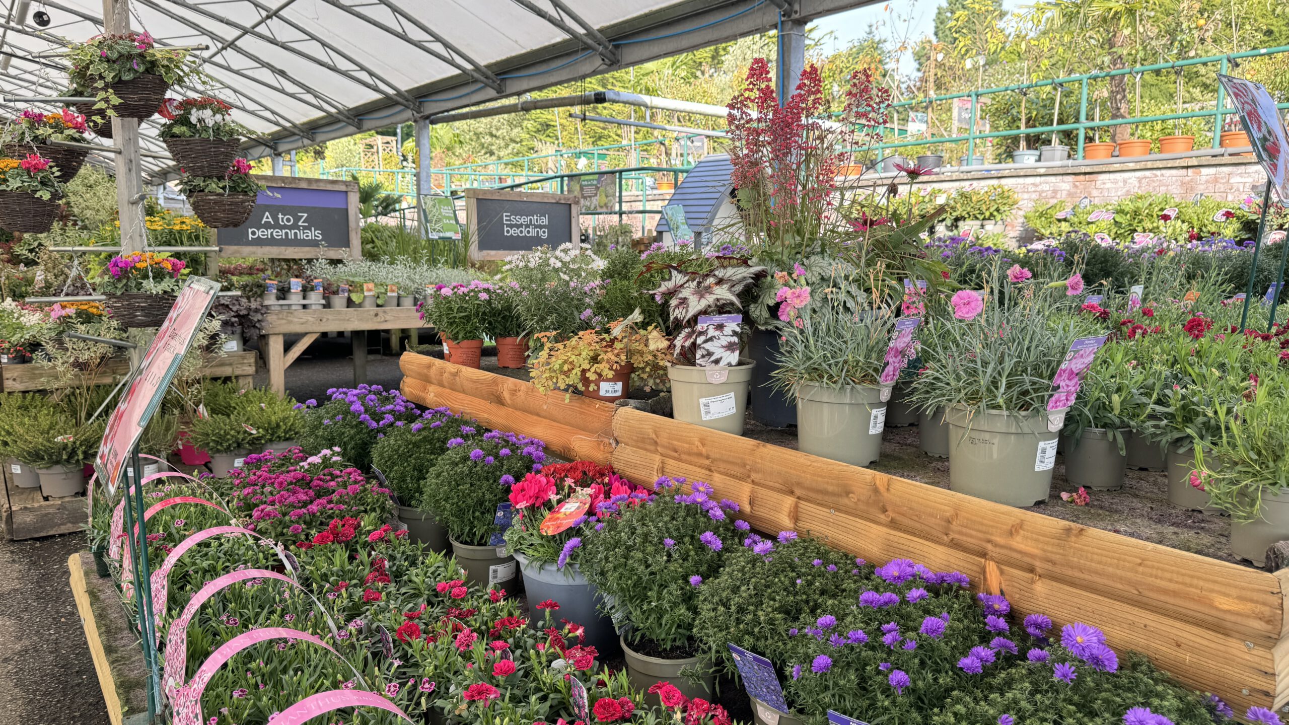 Outdoor perennial plants at St. John's Ashford