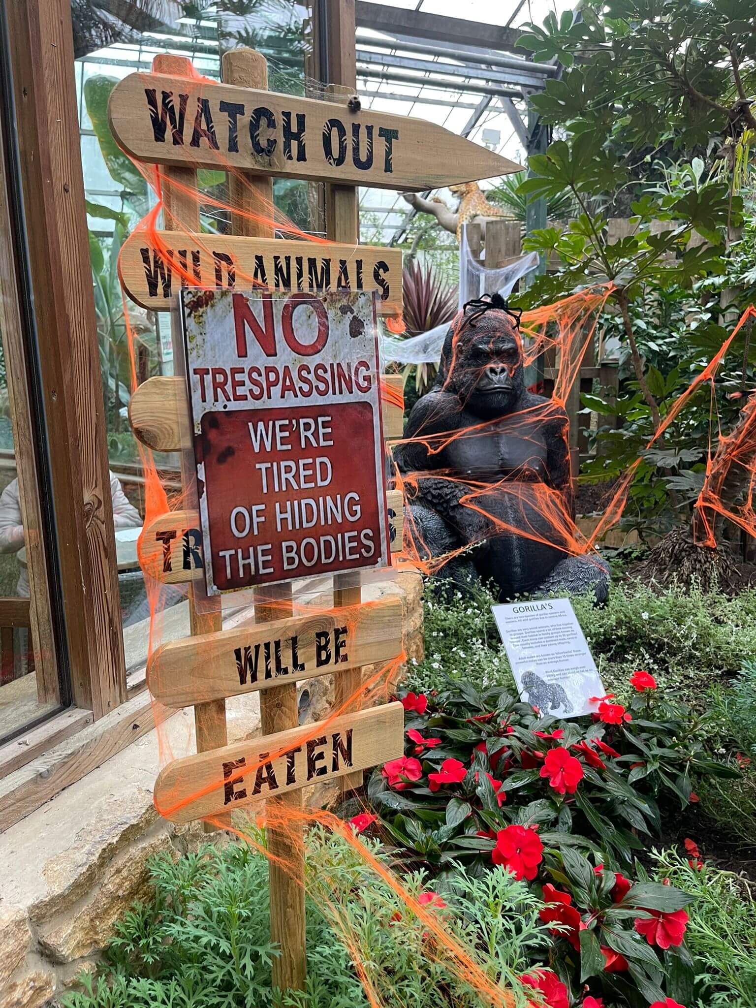 Jungleland at Halloween with orange spiders webs