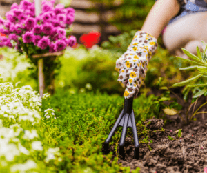 Tilling soil with a hand fork