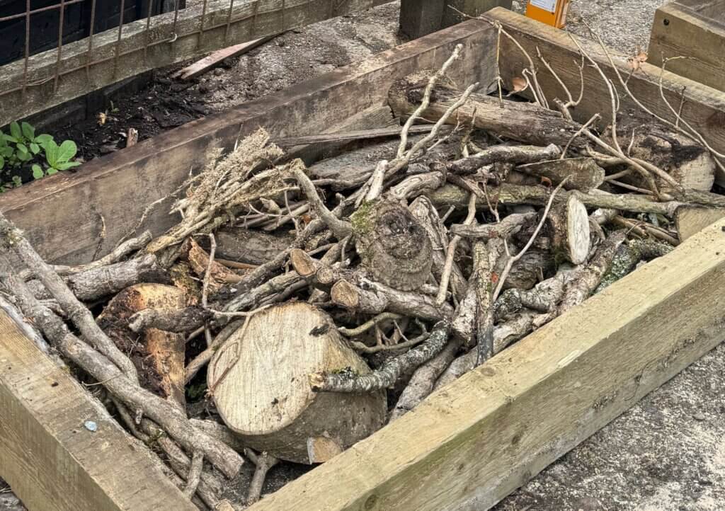 Logs in a pile for the benefit of wildlife