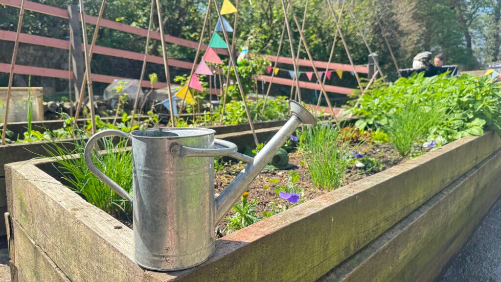 A watering can in the garden