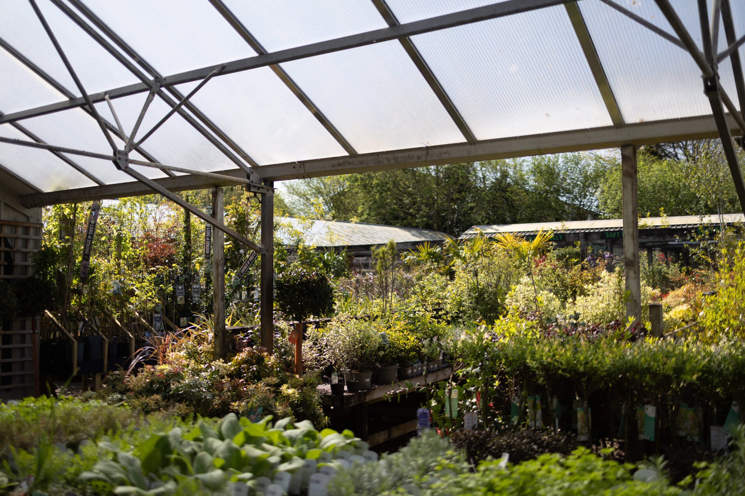 The garden centre in the sunshine