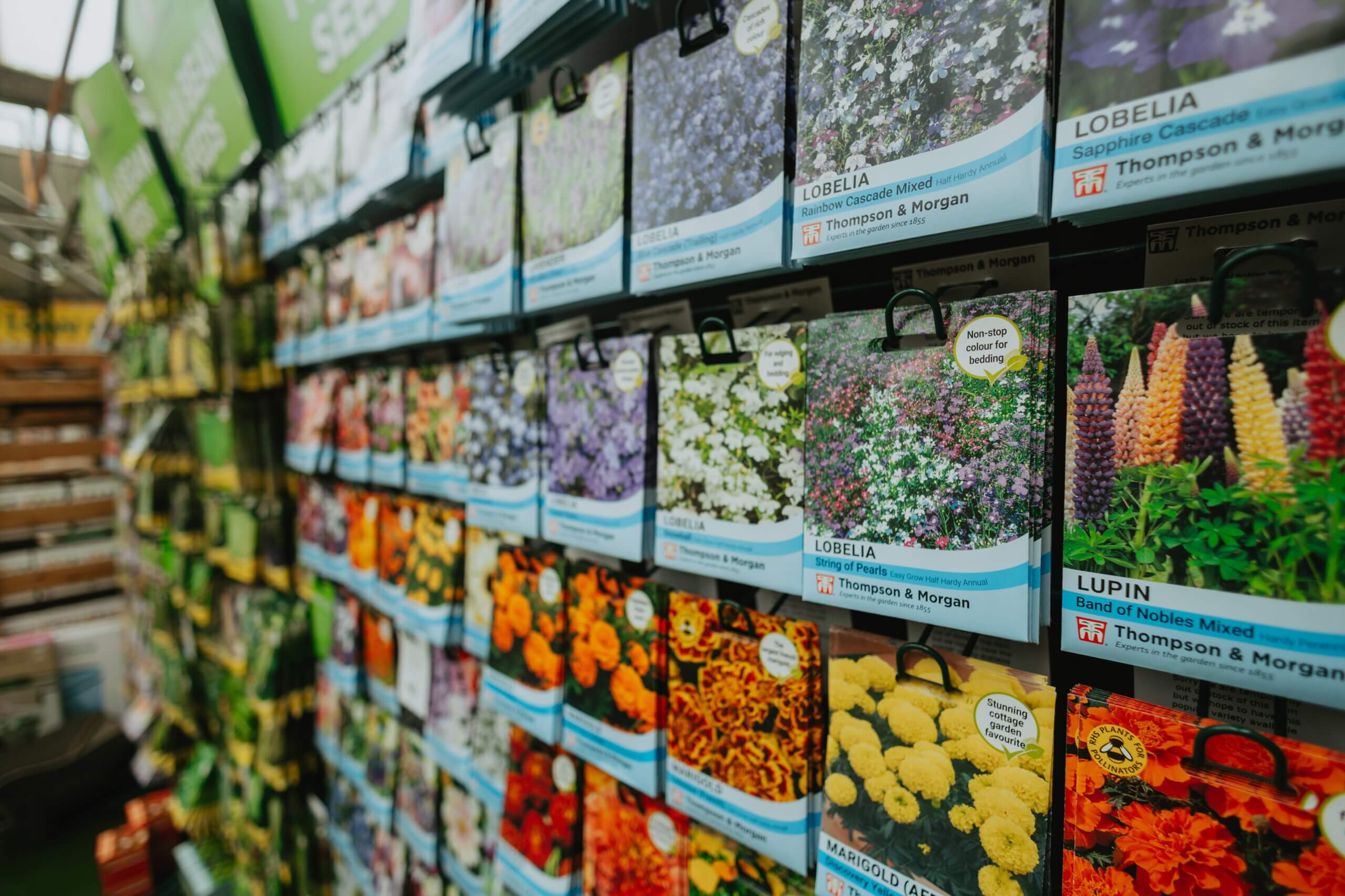 A wall of seeds