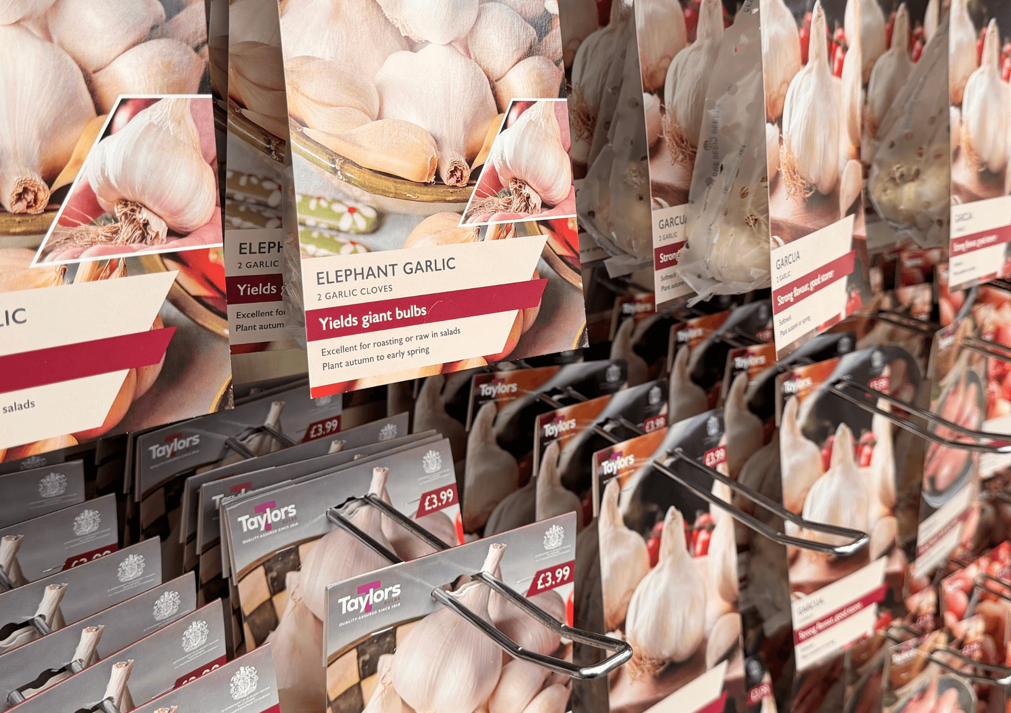 Elephant garlic packs in the garden centre